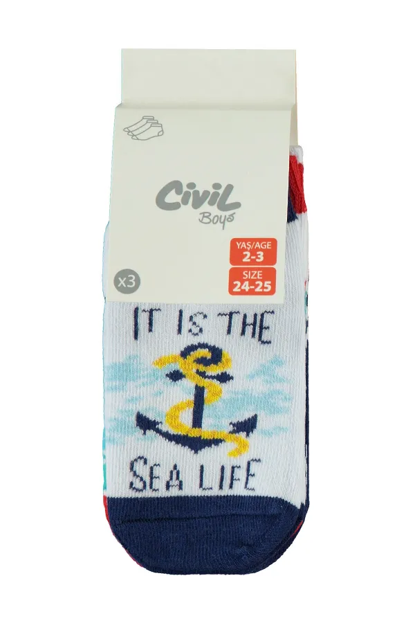 Erkek Çocuk Patik Çorap 2-9 Yaş Standart - Paket