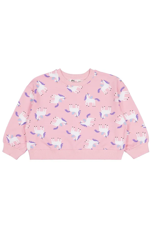 Kız Çocuk Sweatshirt 2-5 Yaş Pembe - Paket