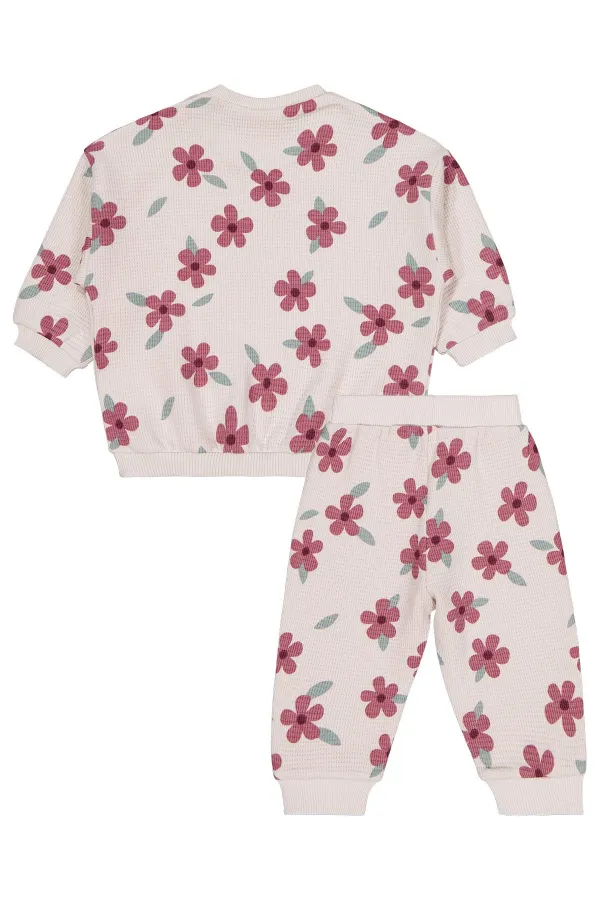 Baby Outfit 0-24 Months Stone Color - Package