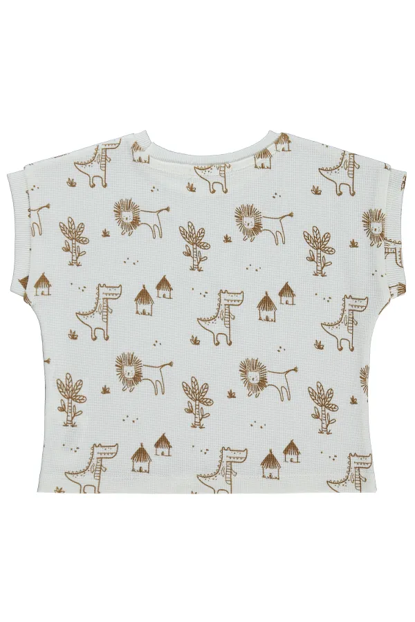 Boys' T-Shirt, Ages 2-5, Brown - Pack