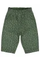 Kaki
