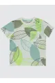 Light Mint Green