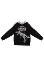 Dino Research Erkek Çocuk Sweat