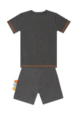Rawr Dino Boys' T-shirt and Shorts Set