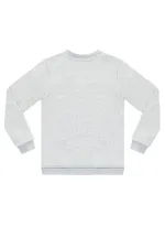 Rawr Dino Erkek Çocuk Gri Melanj Sweat