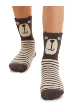 Bear and Raccoon Boys' 2-Pack Socket Socks