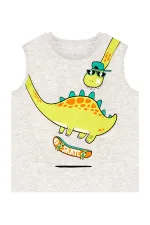Kaykay Dino Erkek Çocuk T-shirt Şort Takım
