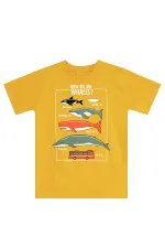 Big Whales Erkek Çocuk T-shirt Kapri Takım