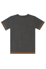 Rawr Dino Boys' T-shirt and Shorts Set