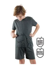Dinosaur Boy's Grey Pajama Set (Top and Bottom)
