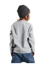 Roar Erkek Çocuk Gri Sweat