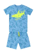 Shark Boys' T-shirt and Shorts Set