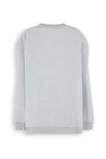 Roar Erkek Çocuk Gri Sweat