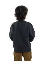 Hayvanlar Erkek Çocuk Triko Kazak