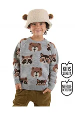 Ayı Rakun Erkek Çocuk Gri Triko Kazak