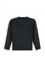 Hayvanlar Erkek Çocuk Triko Kazak