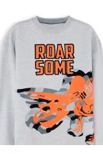 Roar Erkek Çocuk Gri Sweat