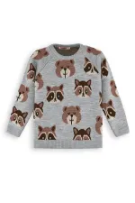 Ayı Rakun Erkek Çocuk Gri Triko Kazak