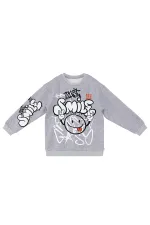 Just Smile Erkek Çocuk Gri Sweat