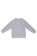 Just Smile Erkek Çocuk Gri Sweat