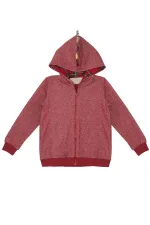 Ejderha Erkek Çocuk Kapişonlu Sweat