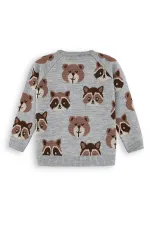 Ayı Rakun Erkek Çocuk Gri Triko Kazak