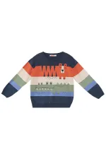Animals Boy Sweater