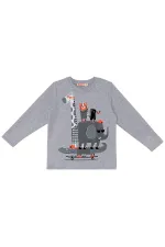 Animals Team Erkek Çocuk T-shirt Pantolon Takım