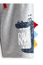 Rawr Boys' T-shirt and Shorts Set