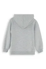 Dinozor Erkek Çocuk Fermuarlı Kapüşonlu Gri Sweat