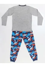 T-rex Info Erkek Çocuk T-shirt Pantolon Takım