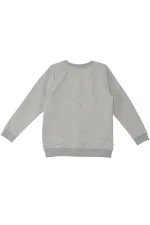 Sevimli Arabalar Erkek Çocuk Sweat