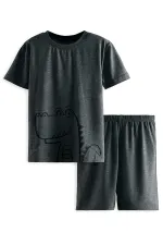 Dinosaur Boy's Grey Pajama Set (Top and Bottom)