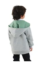 Dinozor Erkek Çocuk Fermuarlı Kapüşonlu Gri Sweat