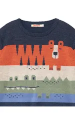 Animals Boy Sweater