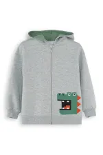 Dinozor Erkek Çocuk Fermuarlı Kapüşonlu Gri Sweat
