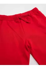 Christmas Reindeer Boys' T-shirt and Pants Set