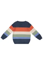 Animals Boy Sweater