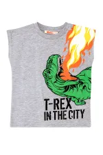 T-Rex Alev Erkek Çocuk T-Shirt Şort Takım