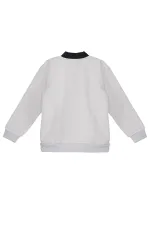Kurt Erkek Çocuk Gri Sweat