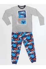 T-rex Info Erkek Çocuk T-shirt Pantolon Takım