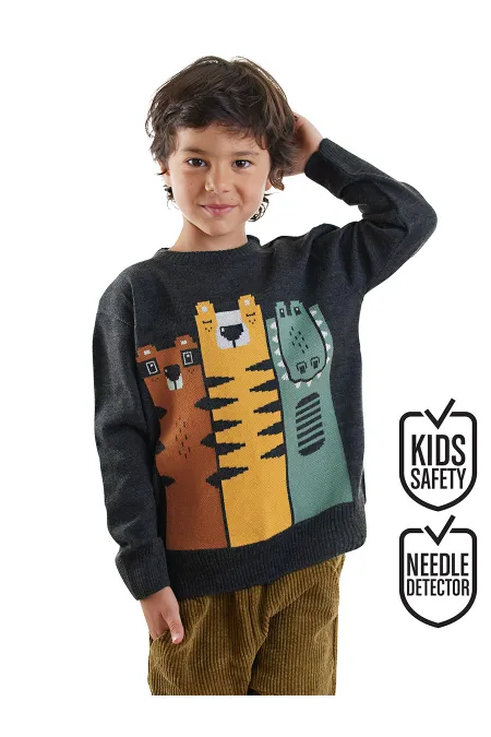 Hayvanlar Erkek Çocuk Triko Kazak