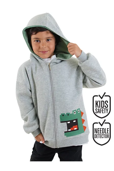 Dinosaur Boys' Grey Zip-Up Hooded Sweatshirt