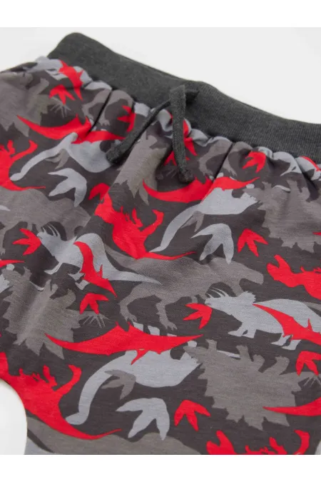 Triceratops Erkek Çocuk T-shirt Kapri Şort Takım