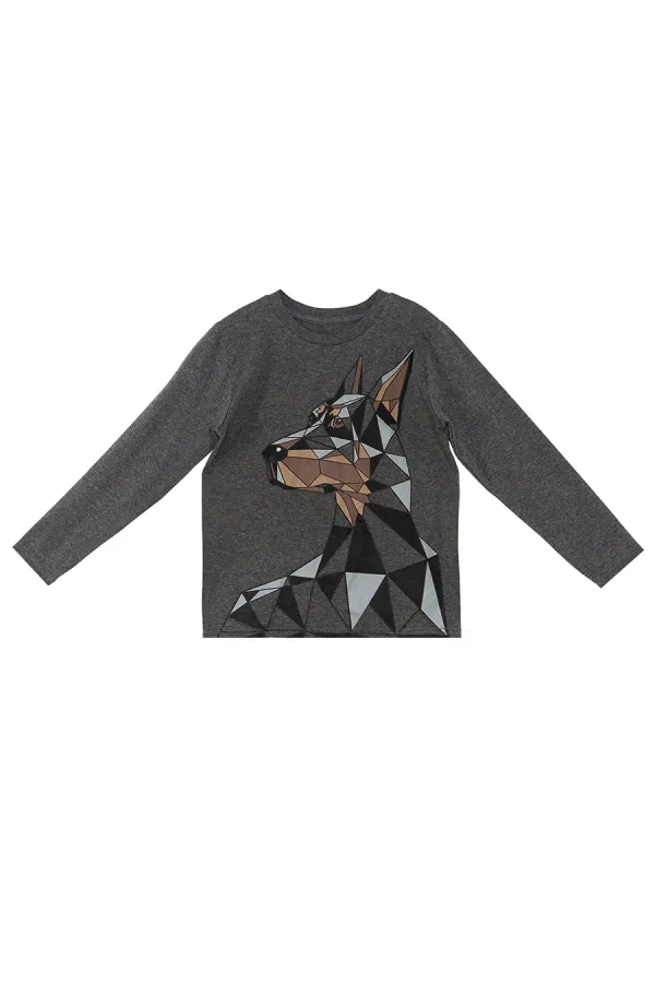 Doberman Erkek Çocuk T-shirt Pantolon Takım