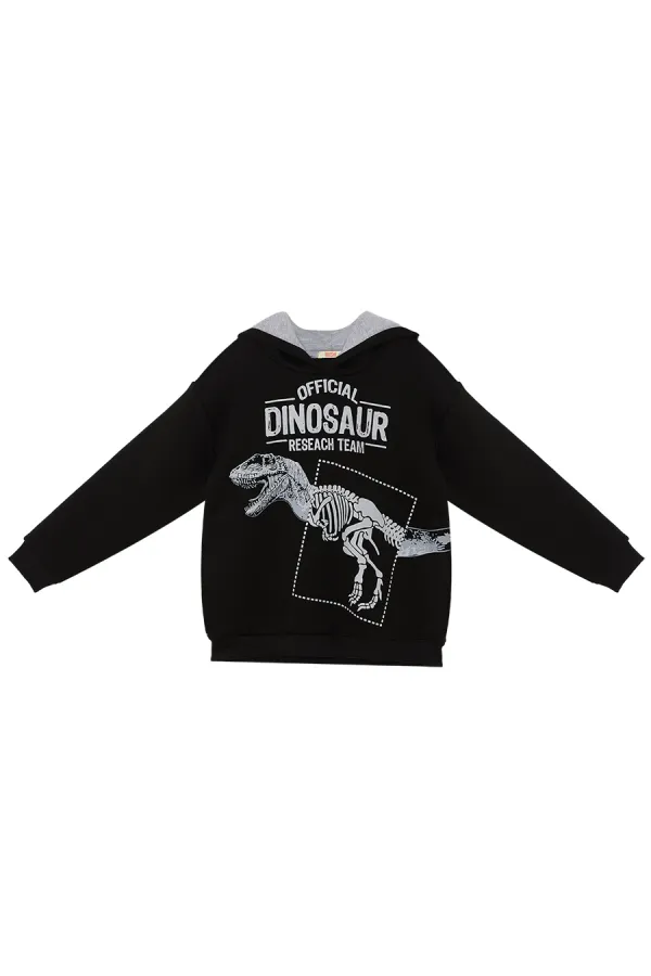 Dino Research Erkek Çocuk Sweat