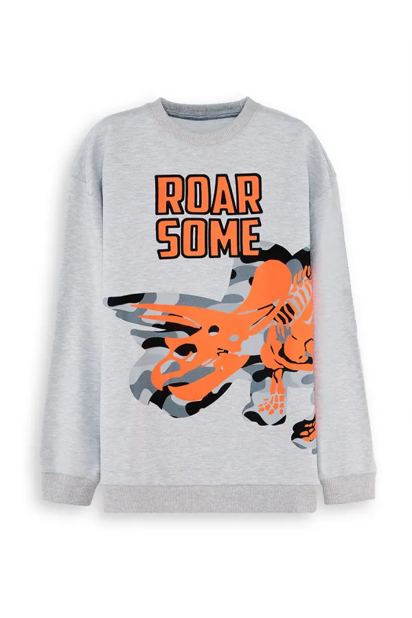 Roar Erkek Çocuk Gri Sweat