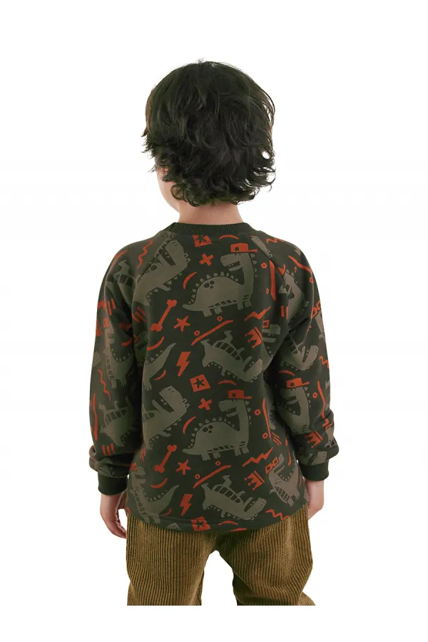 Skateboard Dino Boy's Romantic Sweater