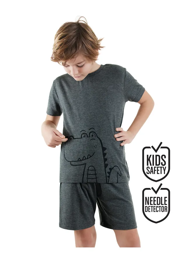Dinosaur Boy's Grey Pajama Set (Top and Bottom)