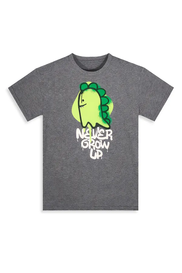 Dino Spray Erkek Çocuk T-shirt Şort Takım